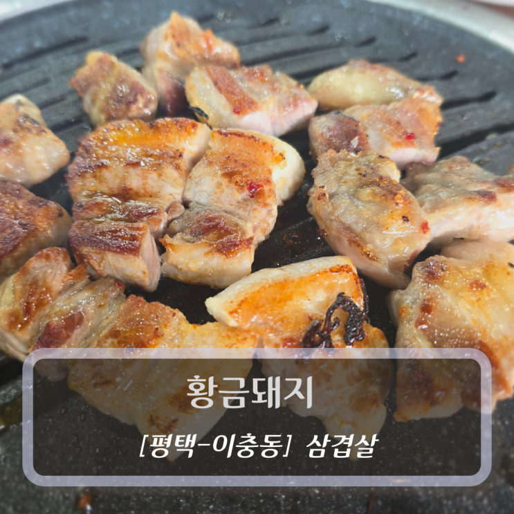  [평택-이충동, 삼겹살] 황금돼지 - 서정리역맛집