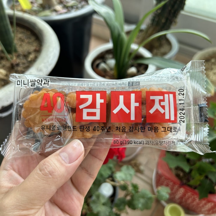  일상 포토덤프 블로그 챌린지 시작합니다