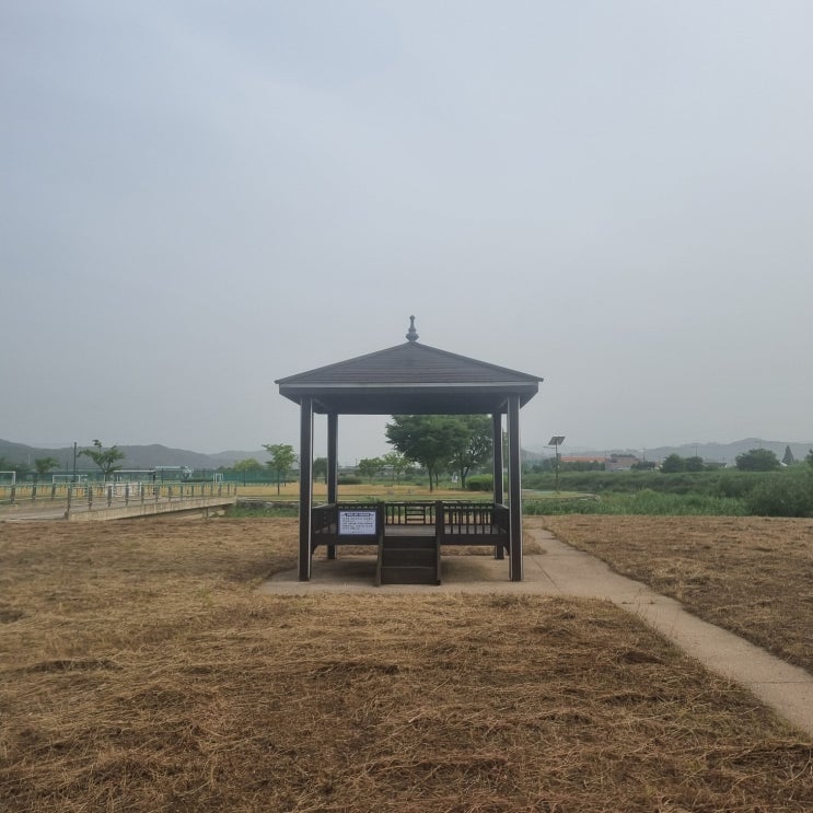  백종원 예산시장 둘러보다가 유명인 봤어요