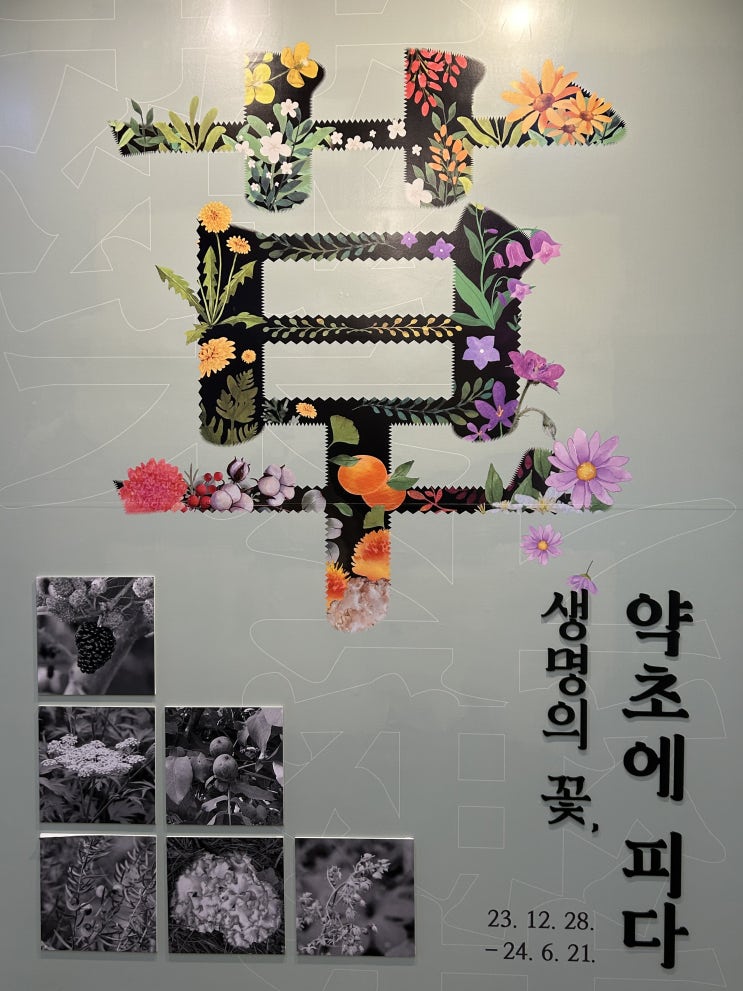  동대문구 제기동 서울한방진흥센터 기획전시 <생명의 꽃, 약초에 피다>