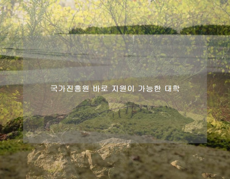 국가진흥원 바로 지원이 가능한 대학 국가진흥원 바로 지원이 가능한 대학