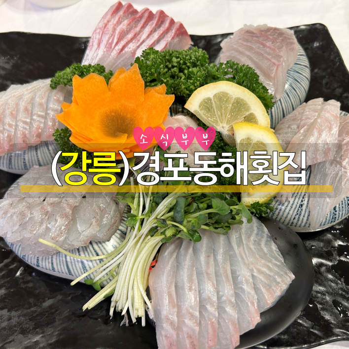  [강릉] 회를 잘 모르는 사람도 즐길 수 있는 '경포동해횟집' #내돈내산 #강릉횟집