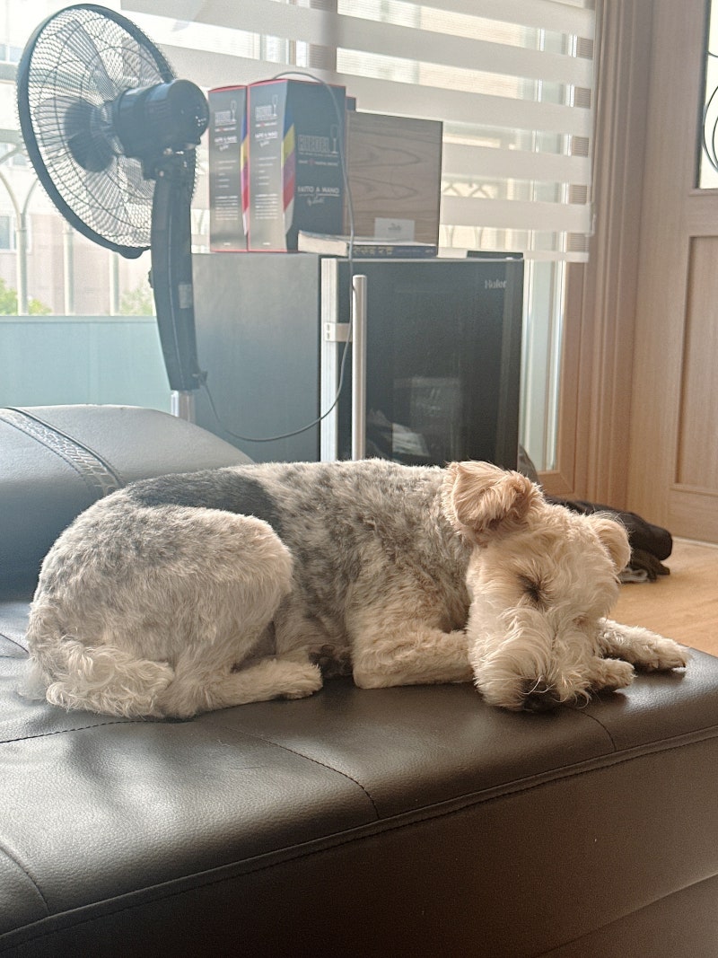 나 \, image size:800x1067