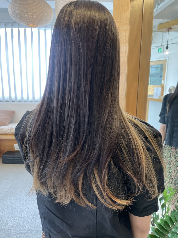  의정부 브라운 염색 맛집 살롱드리나에서 시크릿투톤 이어링염색 했어요