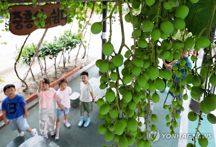 간호조무사·사회복지사, 40시간 교육받으면 아이돌보미 일한다 간호조무사·사회복지사, 40시간 교육받으면 아이돌보미 일한다