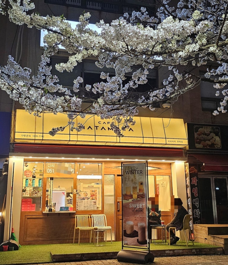  카페마타마타, 부산 안락동 아늑한 동네 감성 카페