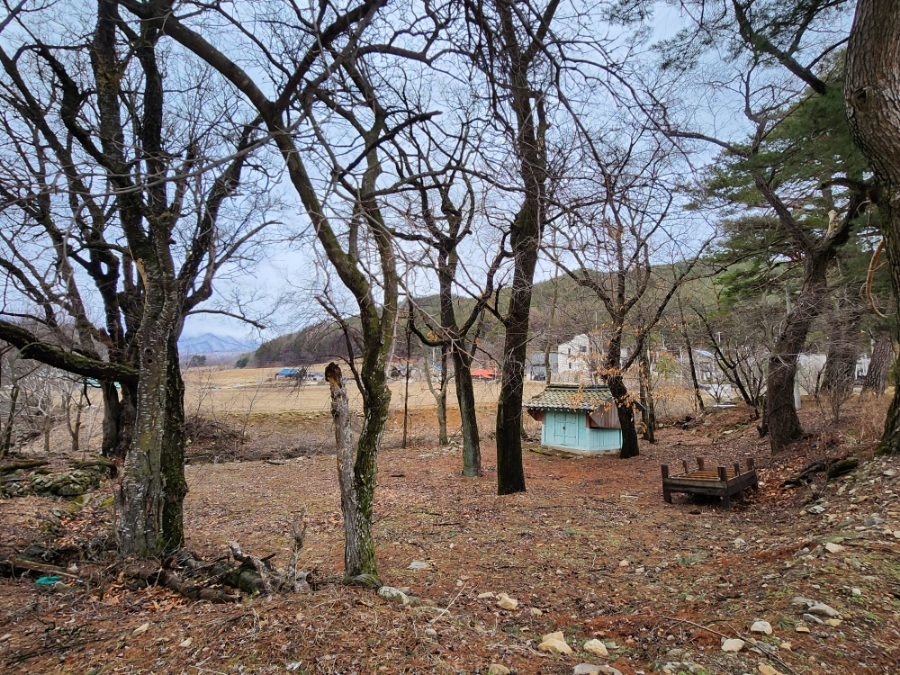 막골 사진 3