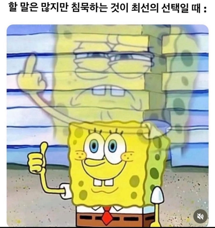  1주차. 사진첩에 있던 짤모음집