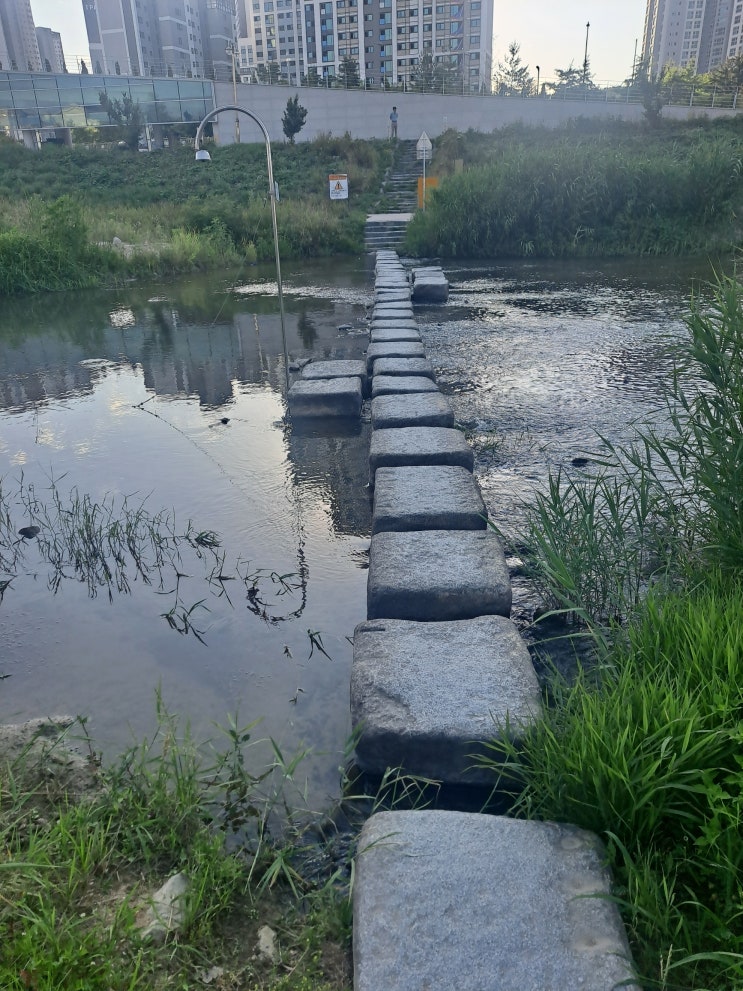  금연일기(금연 70일차, 금주 금커피 43일차)