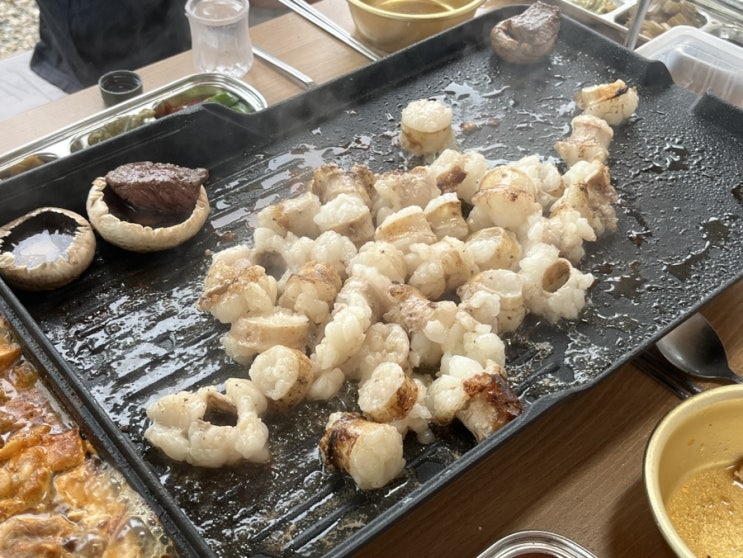 여행, 술술술술, <b>호우주의보</b>, 찜질방