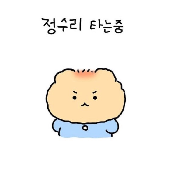  6월 마지막 주