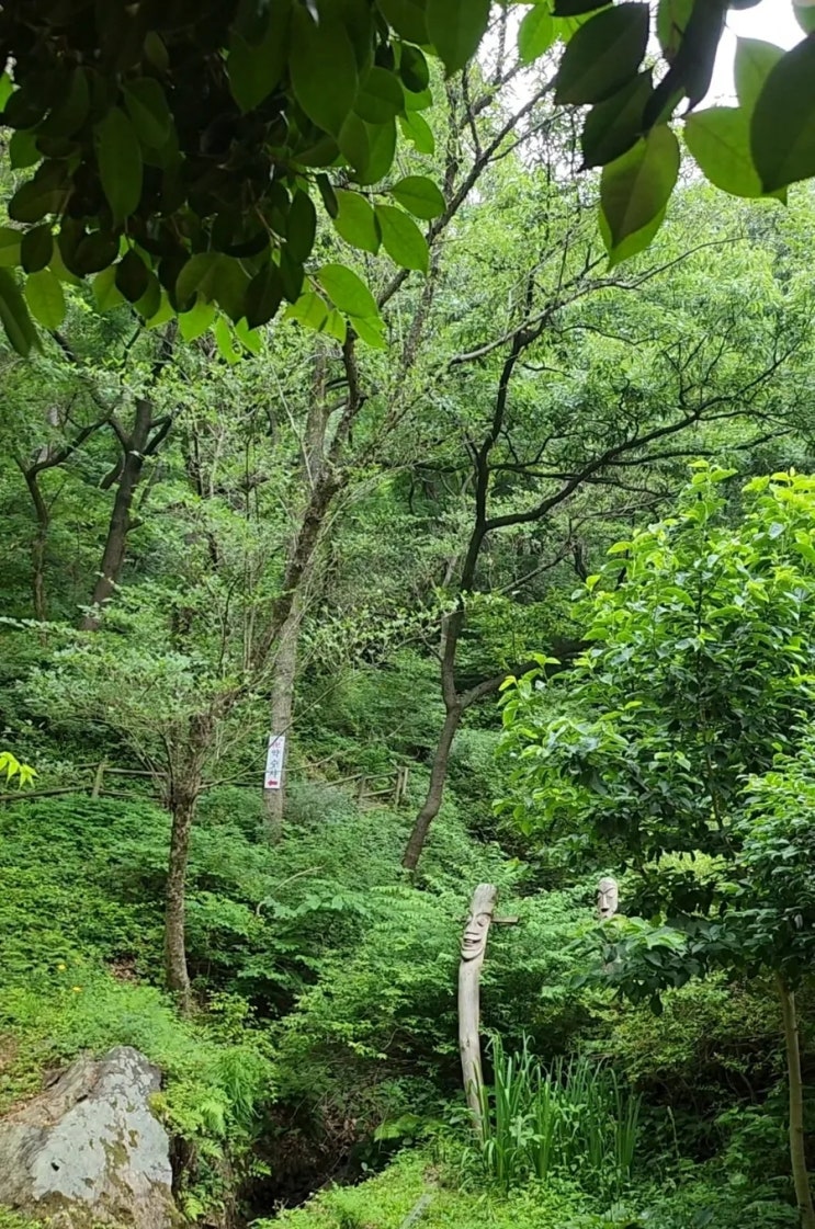  비오는 아침 등산 비오는 날의 수채화같은 황령산 빗소리