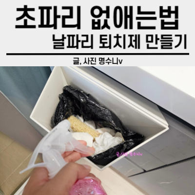 날파리 퇴치제 만들기 , 리스테린 으로 여름철 초파리 없애는법