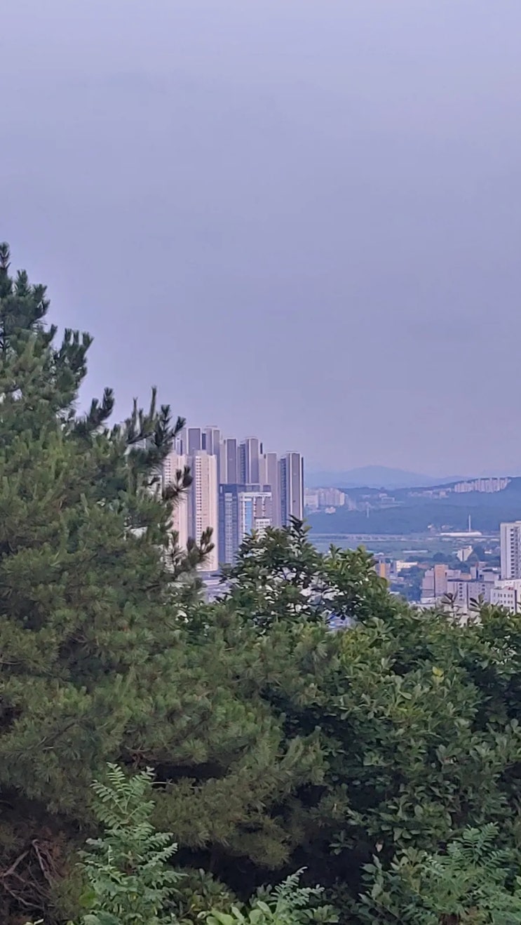 비온뒤 망현산에서 본 이천 시내 비온뒤 망현산에서 본 이천 시내
