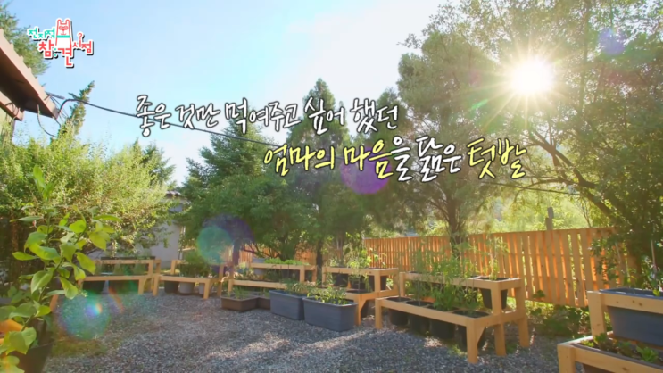  이영자세컨하우스 모친상 어머니의 사랑을 유산으로