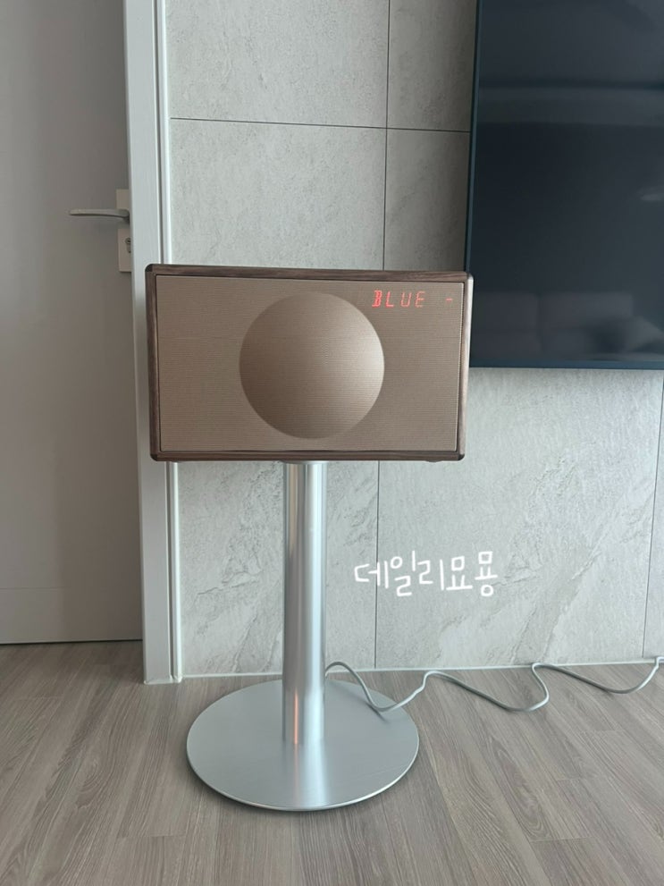  제네바 스피커 월넛 L 고양 스타필드 일렉트로마트 내돈내산 구입후기
