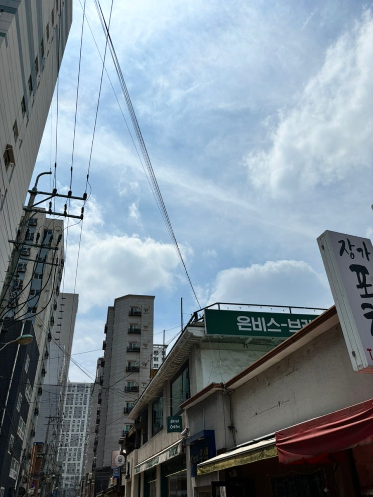  의정부 두바이 초콜릿 후기 (은비스브레드 / 비스킷테이블)