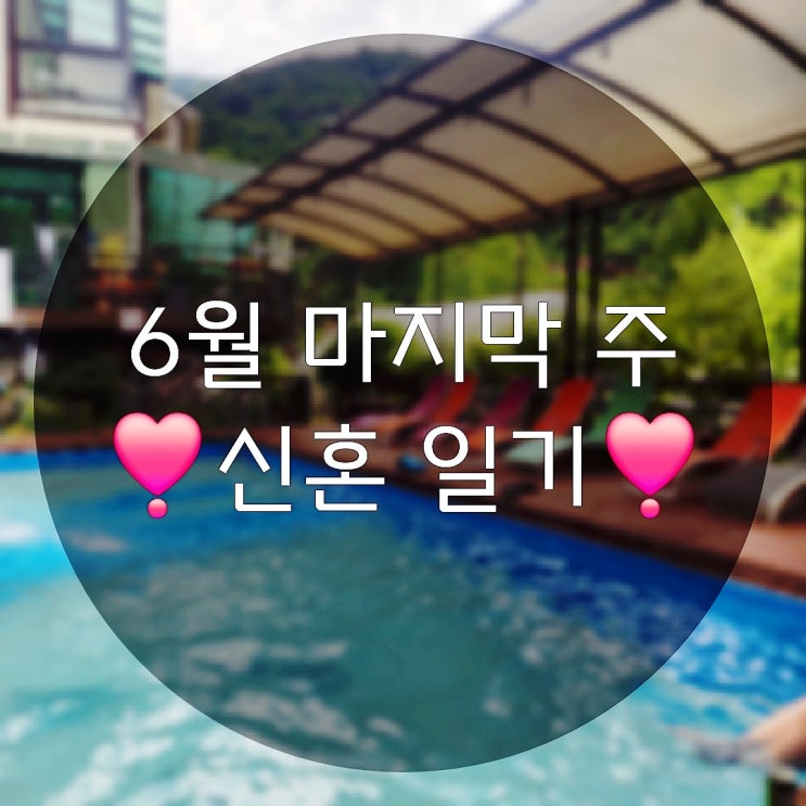  6월 마지막주 일상기록(물놀이가능 강촌애견동반 노아스펜션정보 애견카페)