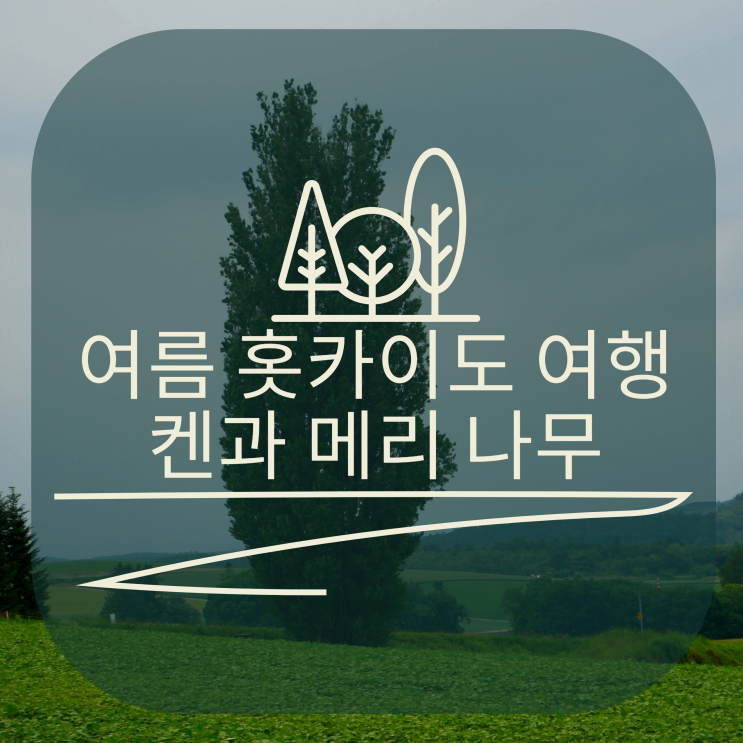  여름 홋카이도의 켄과 메리 나무