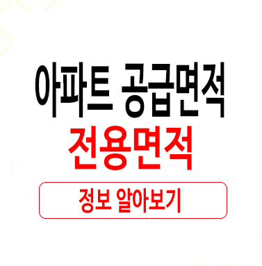  까다롭지 않던 아파트 공급면적 전용면적