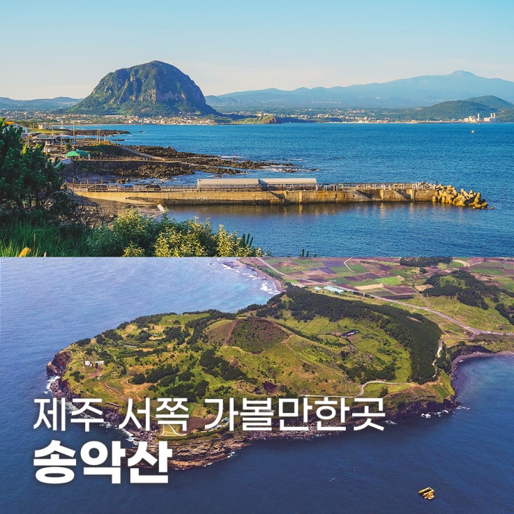  제주 서쪽 가볼만한곳 송악산 둘레길