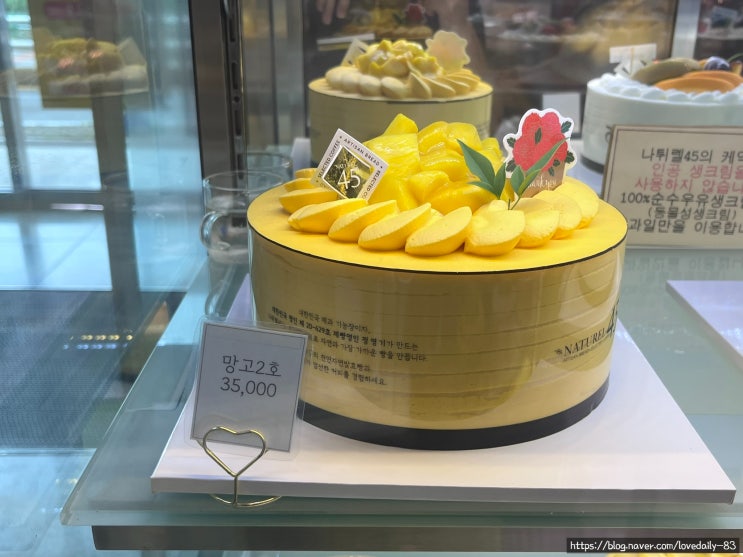  창원 빵 맛집 나튀렐45 마산중리점의 망고 케이크