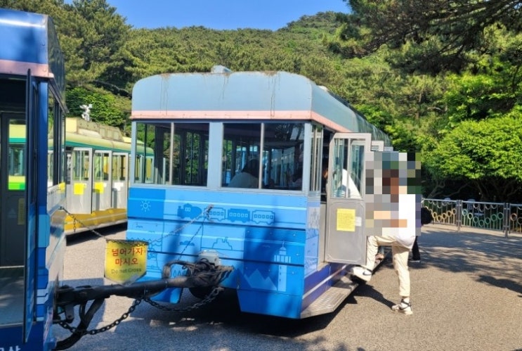  아들과 부산여행, 태종대 다누비열차, 송도 해상케이블카