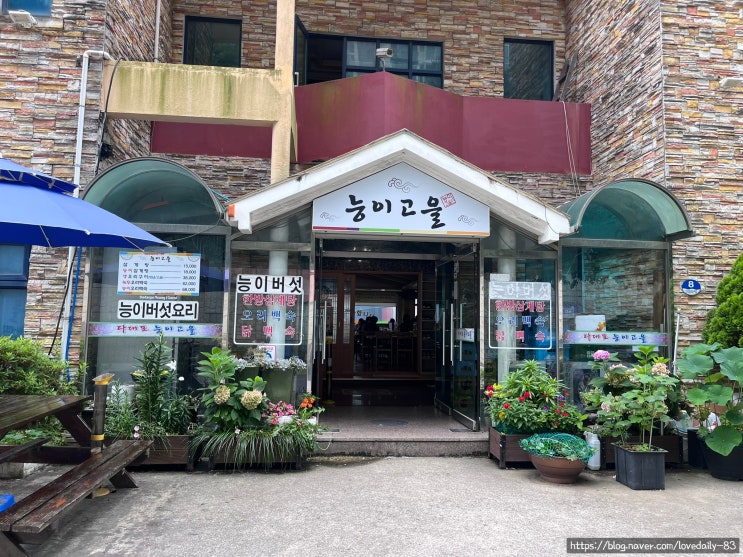  부산 다대포 오리백숙 맛집 - 능이 고을