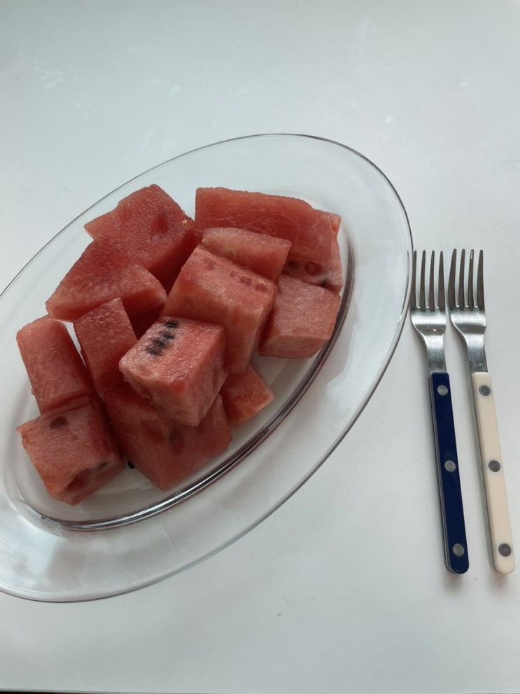  [일상] 블챌 시작..! 내가 여름을 맞이하는 자세