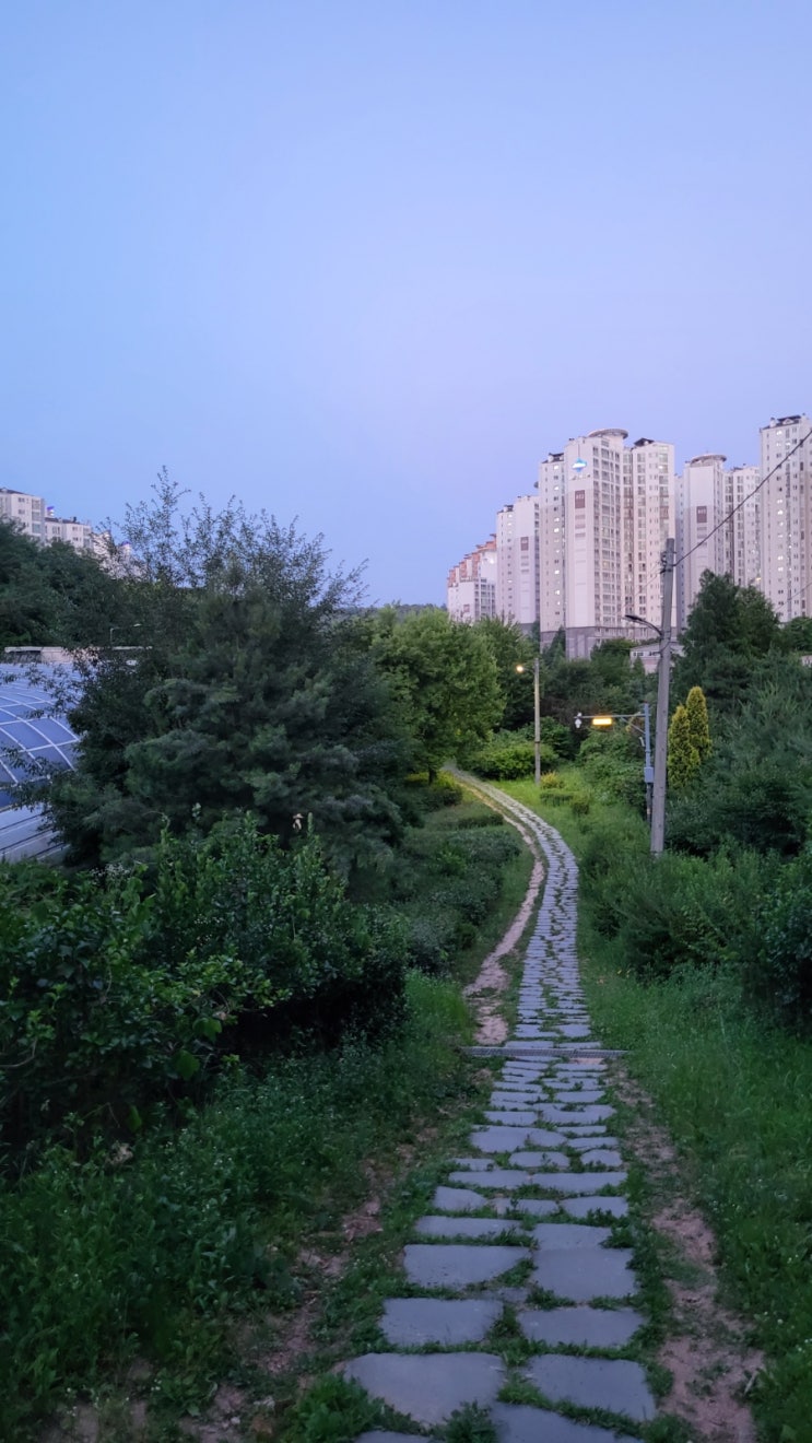  수영도 가고 코스트코 가서 핫도그도 먹고 이거저거