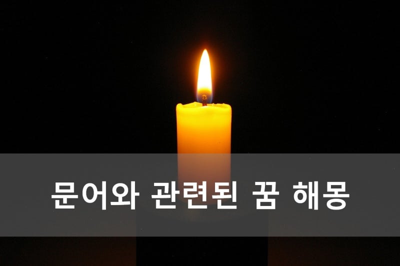 문어와 관련된 꿈 해몽