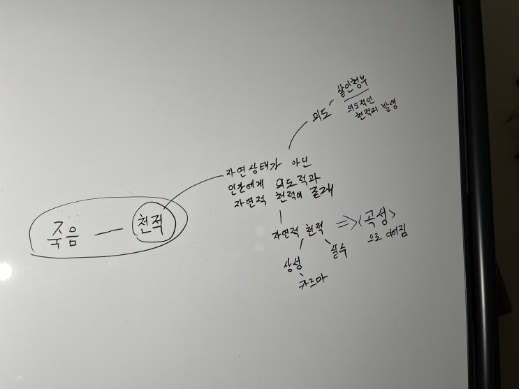  <황해(2010)> 리뷰 (2부) <천적>