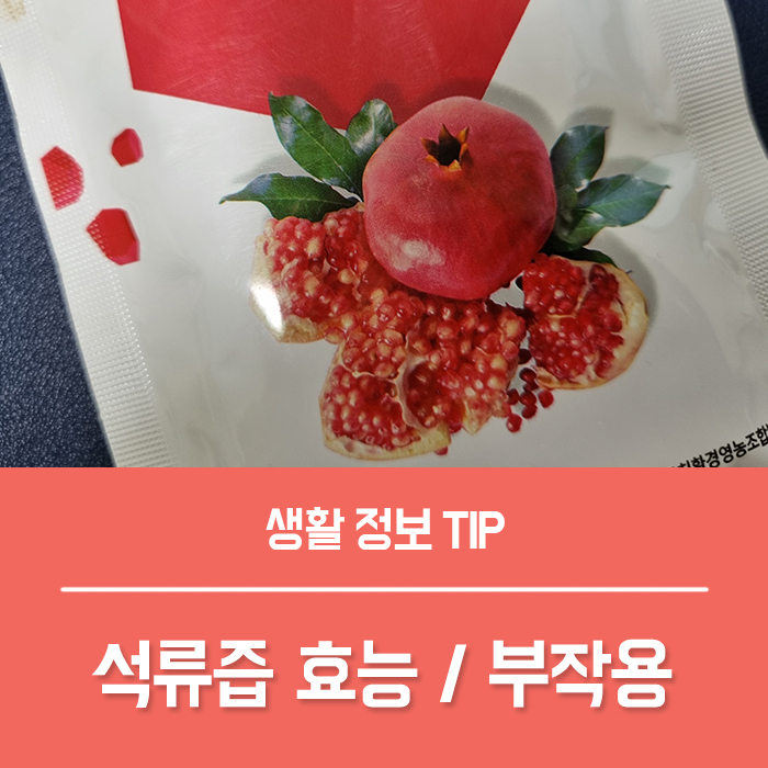  석류즙 효능 TOP5, 석류 효능 부작용 갱년기 임산부 석류 괜찮을까요?