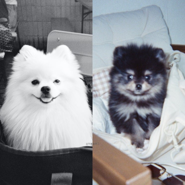  필름 속의로의 여행
