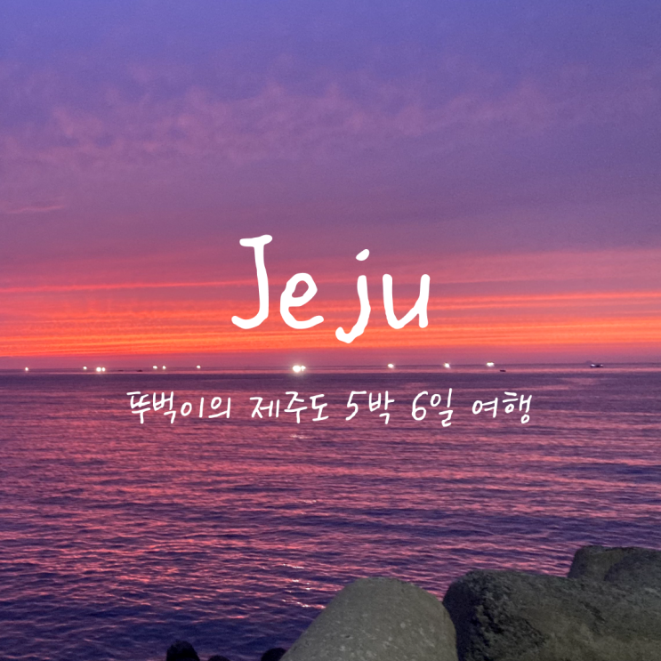  21살 뚜벅이의 5박 6일 제주도 워케이션 / 서쪽 자유여행