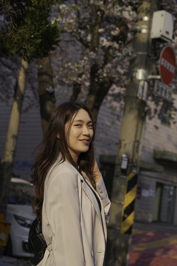  [포토덤프] 서울 도심 길거리 벚꽃 봄나들이