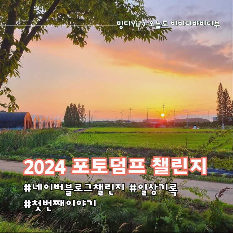  2024 블로그 포토덤프 챌린지 ) 첫 번째 일상 기록__2024.06.30