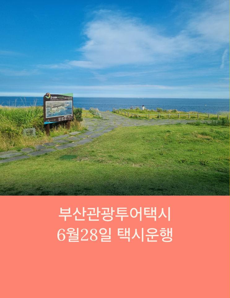  부산택시투어 부산관광택시 효도여행