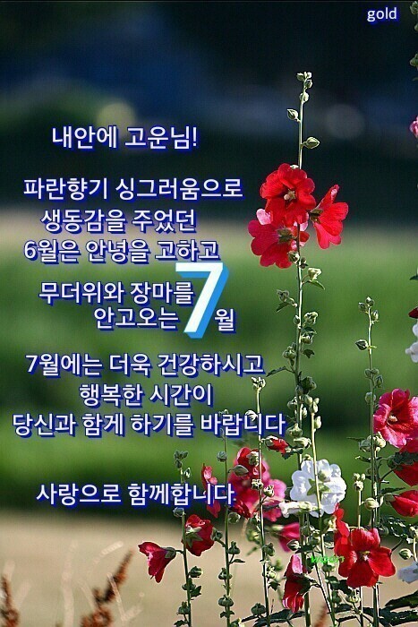  7월 아침 인사말 월요일 좋은아침 인사 이미지, 여름 비오는 날 장마철 카톡인사 이미지 모음
