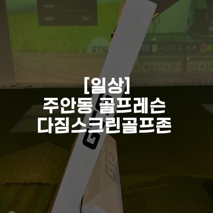  [일상]주안동 골프레슨 다짐스크린골프존