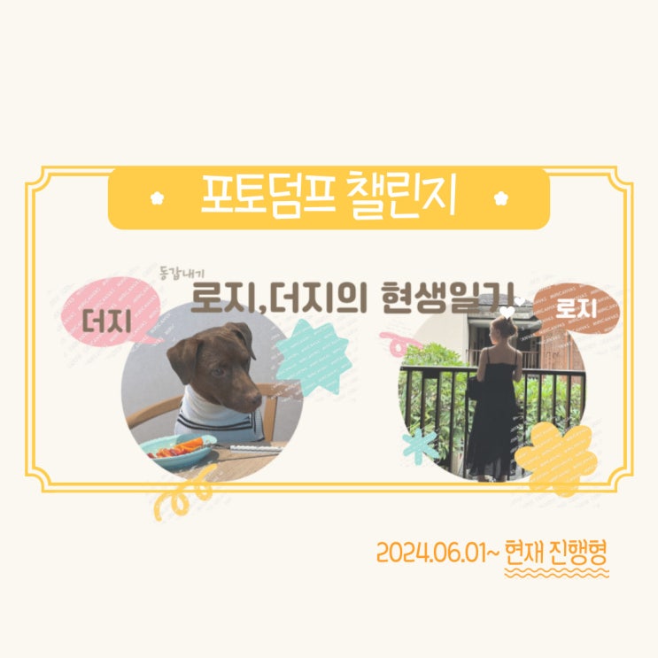  로지더지의 현생일기. 백수도 바쁘다. 네이버 포토덤프 챌린지