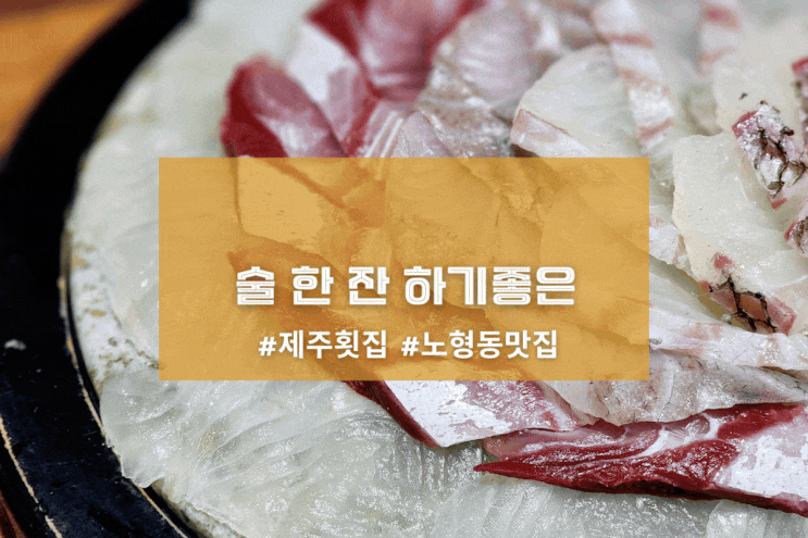  [제주 도시어부] 술 한 잔 하기좋은