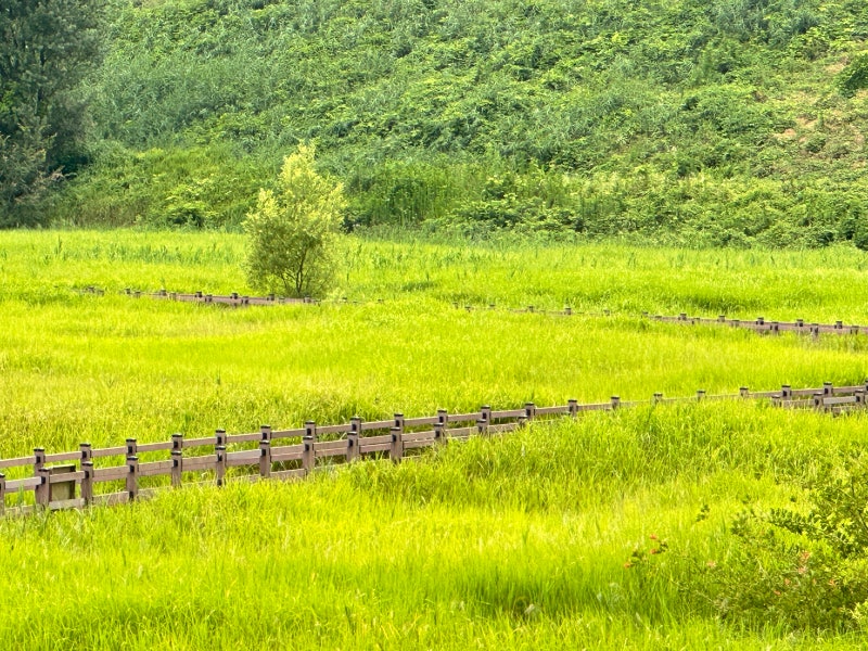 사진 5
