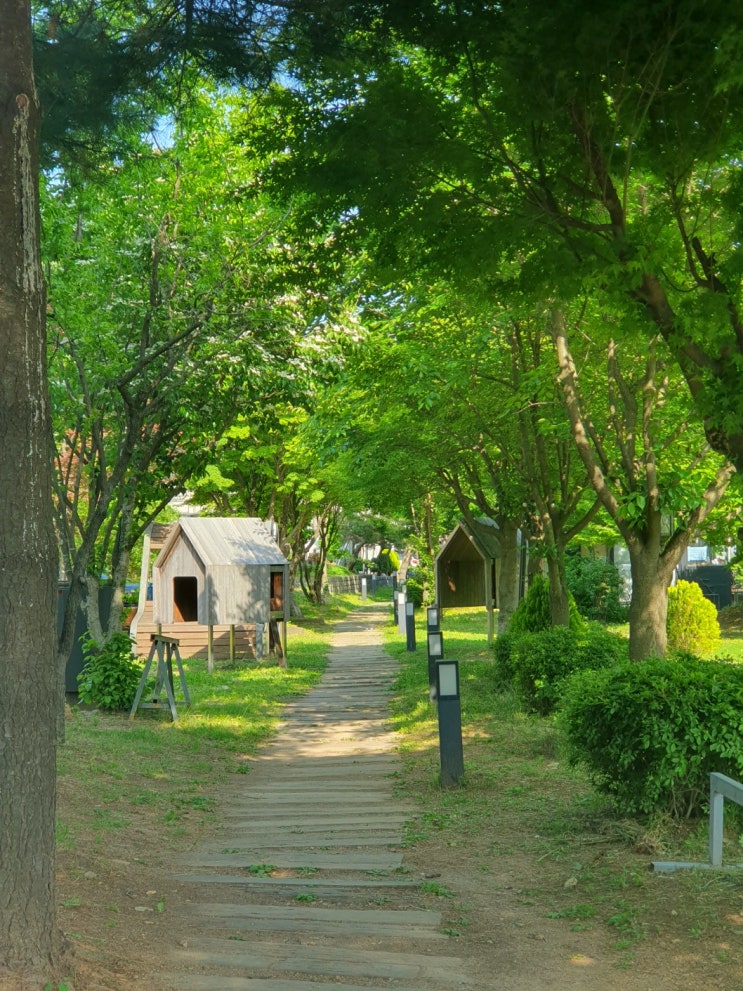  파주 가볼만한 곳, 나들이 일기 : 프로방스 마을, 헤이리 예술 마을 방문