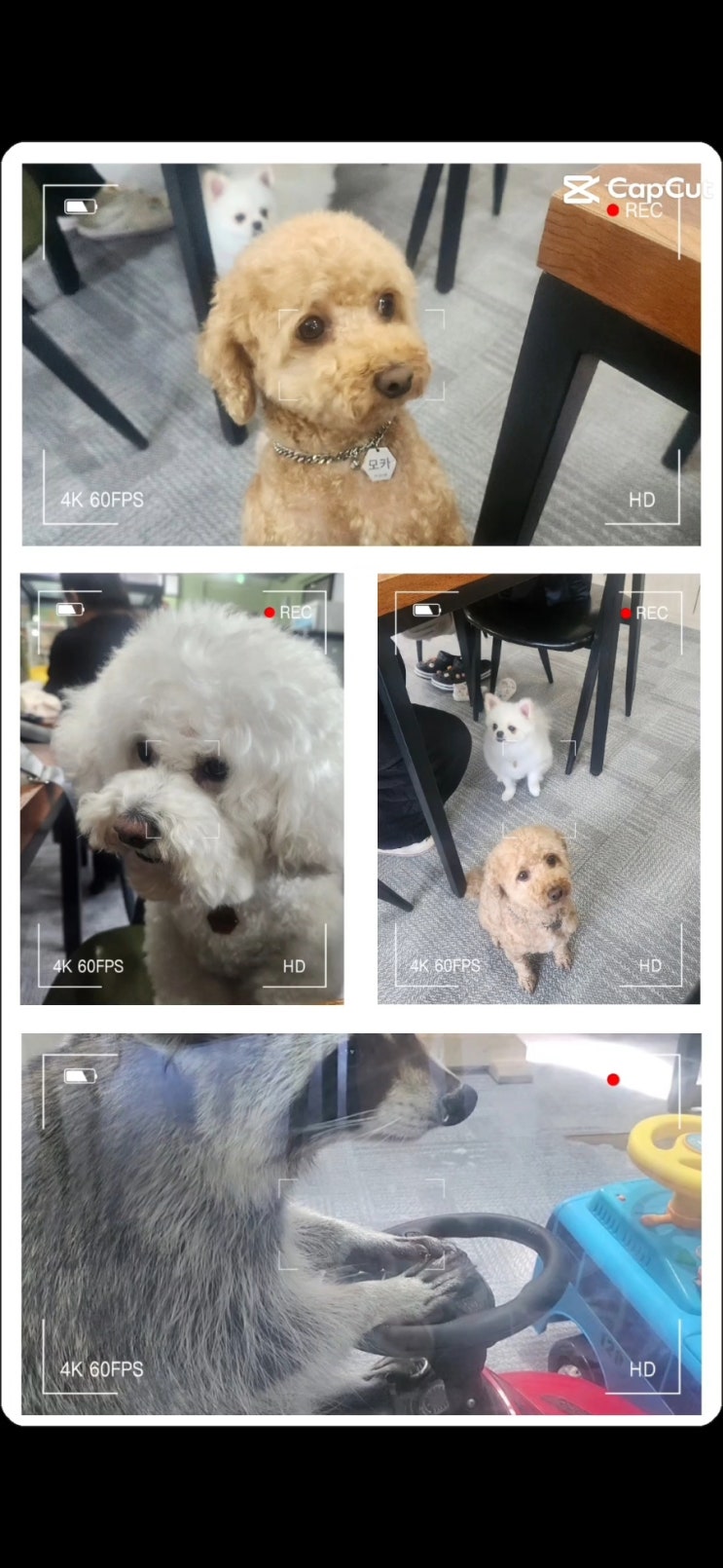  여수 아잉독