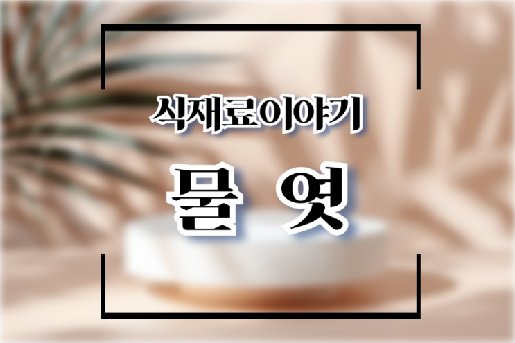  물엿의 특징 장점 단점 활용법 - 물엿 올리고당 차이