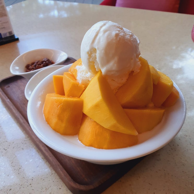  이번주 포토덤프
