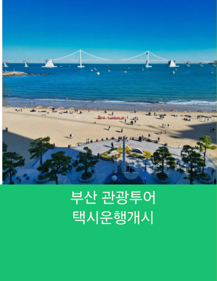  부산택시투어 부산관광택시 운행개시