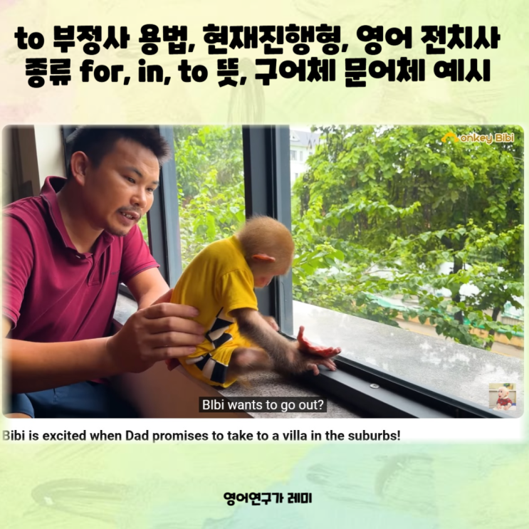 to 부정사 용법, 현재진행형, 영어 전치사 종류 for, in, to 뜻, 구어체 문어체 예시 (몽키 비비) to 부정사 용법, 현재진행형, 영어 전치사 종류 for, in, to 뜻, 구어체 문어체 예시 (몽키 비비)