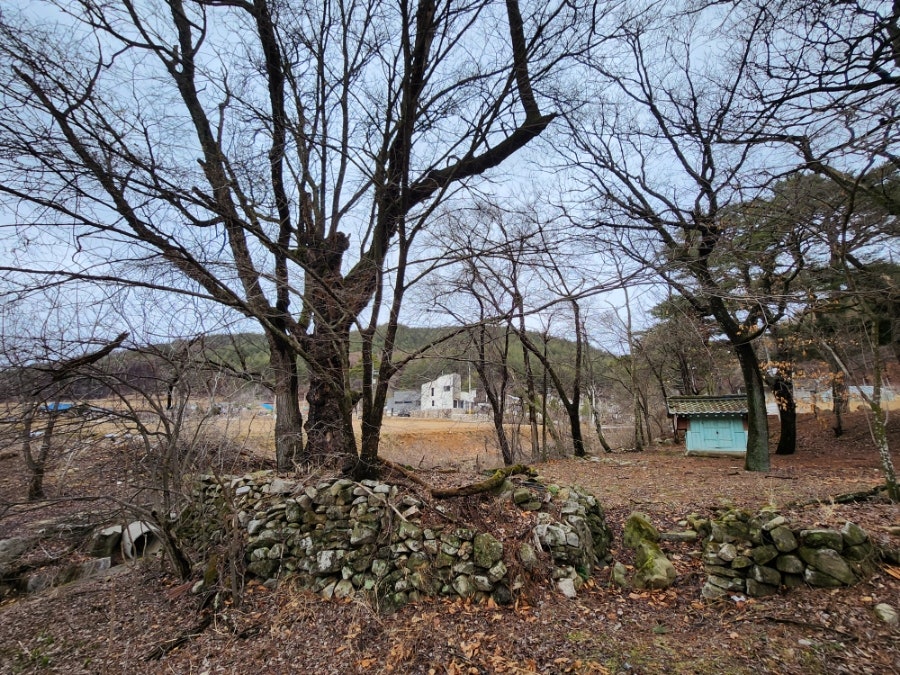 막골 사진 4